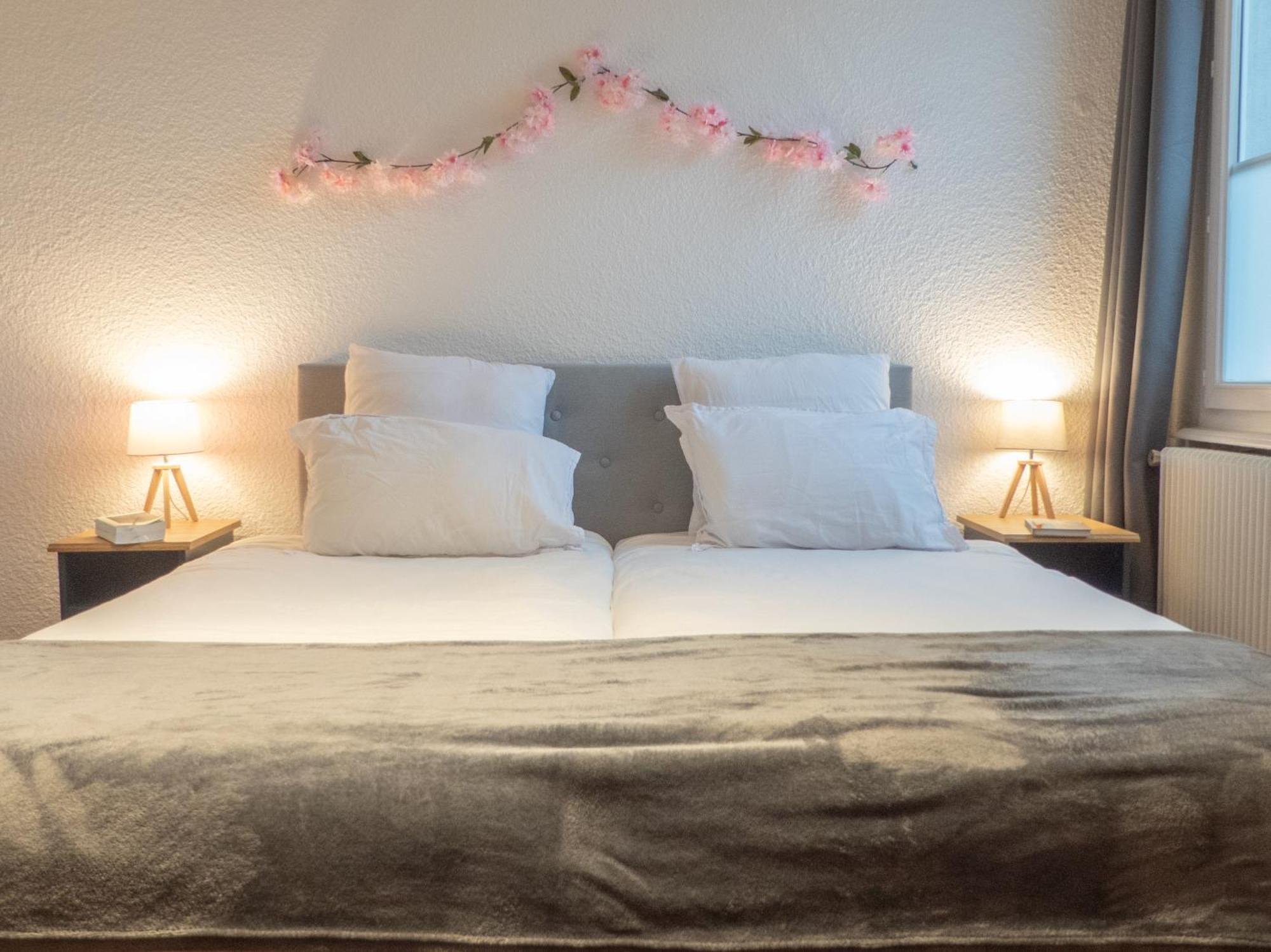 L'Amour De La Paix - Centre-Ville - Jardin - Proche Gare - Tv65"Primevideo - Ambiance Tres Chaleureuse - Parking Gratuit Sous-Video Surveillance Proche - Gere Par Presta-Zen'Services فردان سور ميوز المظهر الخارجي الصورة